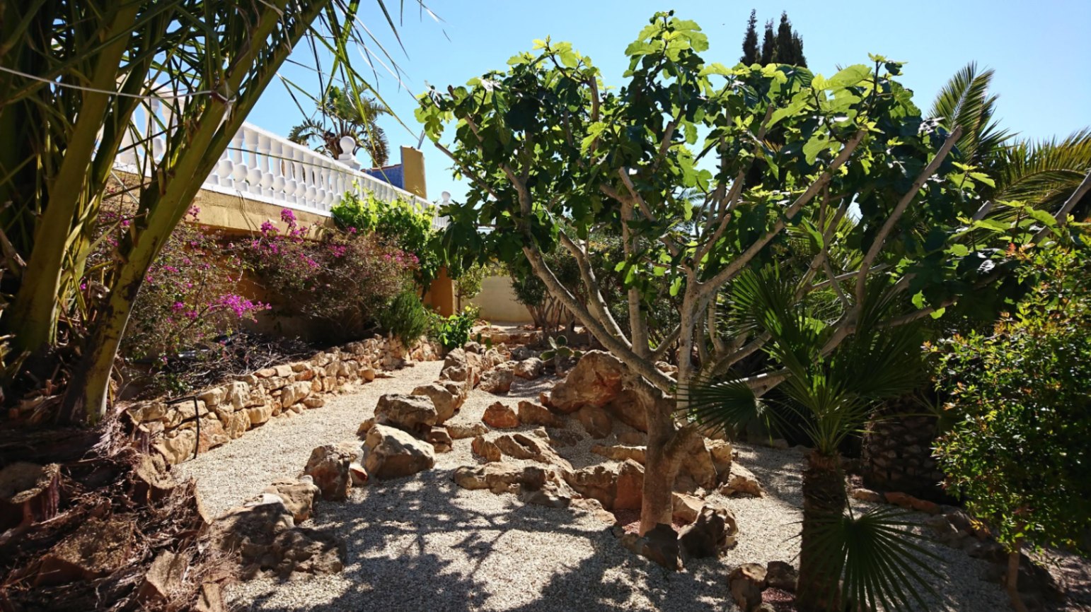 Jardín mediterráneo con senderos de grava, rocas ornamentales y vegetación autóctona que incluye una higuera y buganvillas bajo una balaustrada blanca.