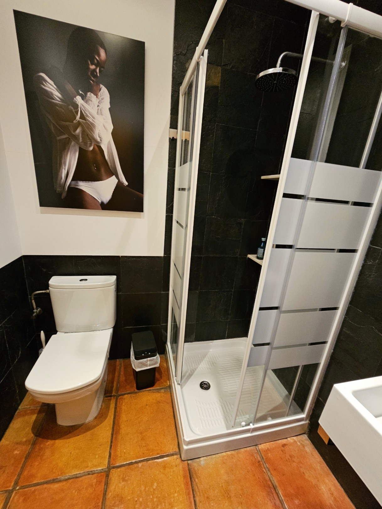 Baño moderno con ducha de obra, paredes de pizarra negra y suelos de barro artesanal. Incluye sanitarios blancos y decoración artística contemporánea.
