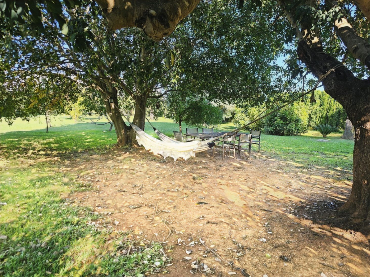 Zona de descanso bajo la sombra de grandes árboles, con una hamaca blanca con flecos y un conjunto de comedor exterior rodeado de césped.