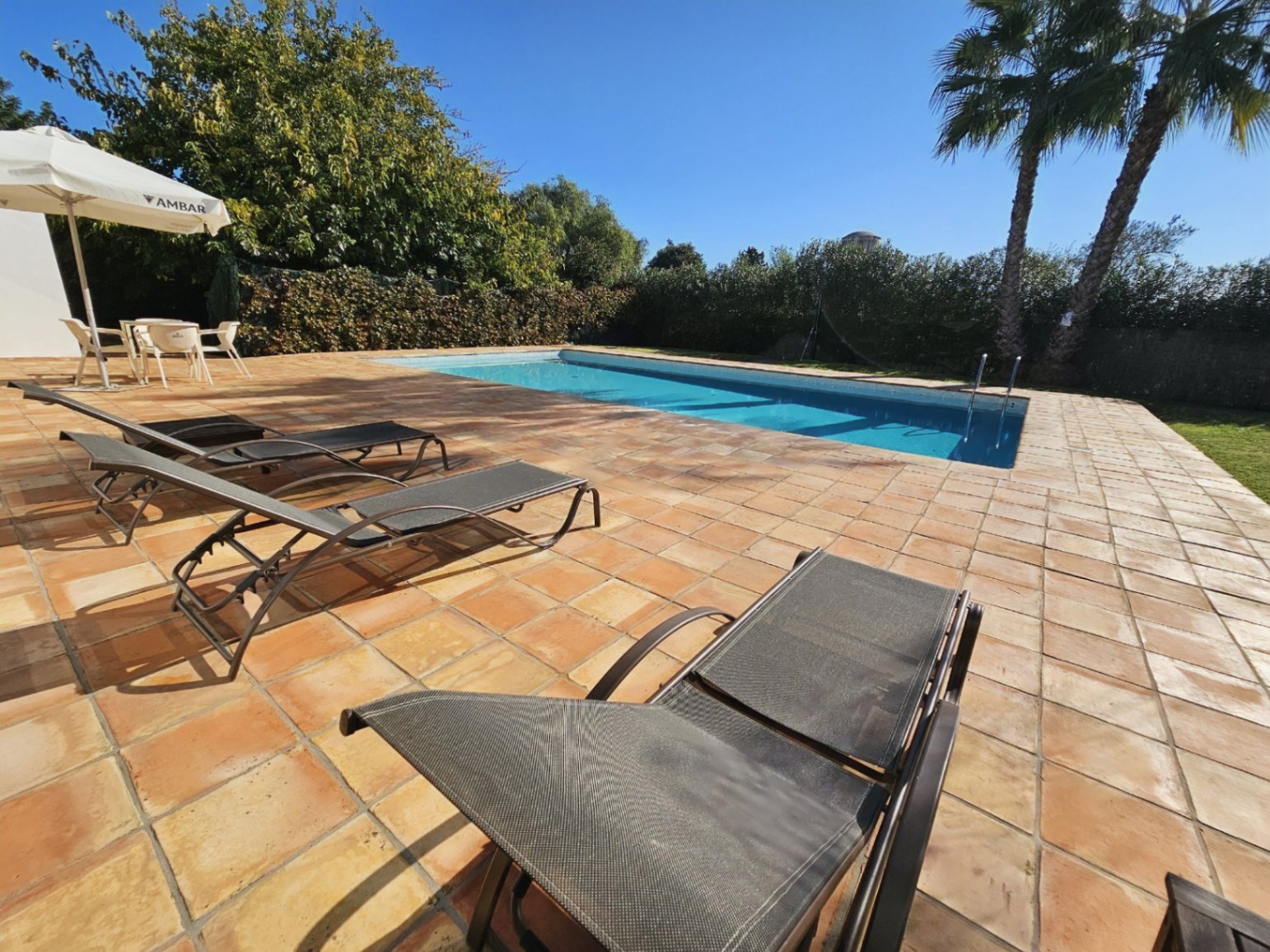 Zona de piscina rodeada por una amplia terraza de baldosas de barro artesanales, equipada con tumbonas y rodeada de vegetación mediterránea y palmeras.