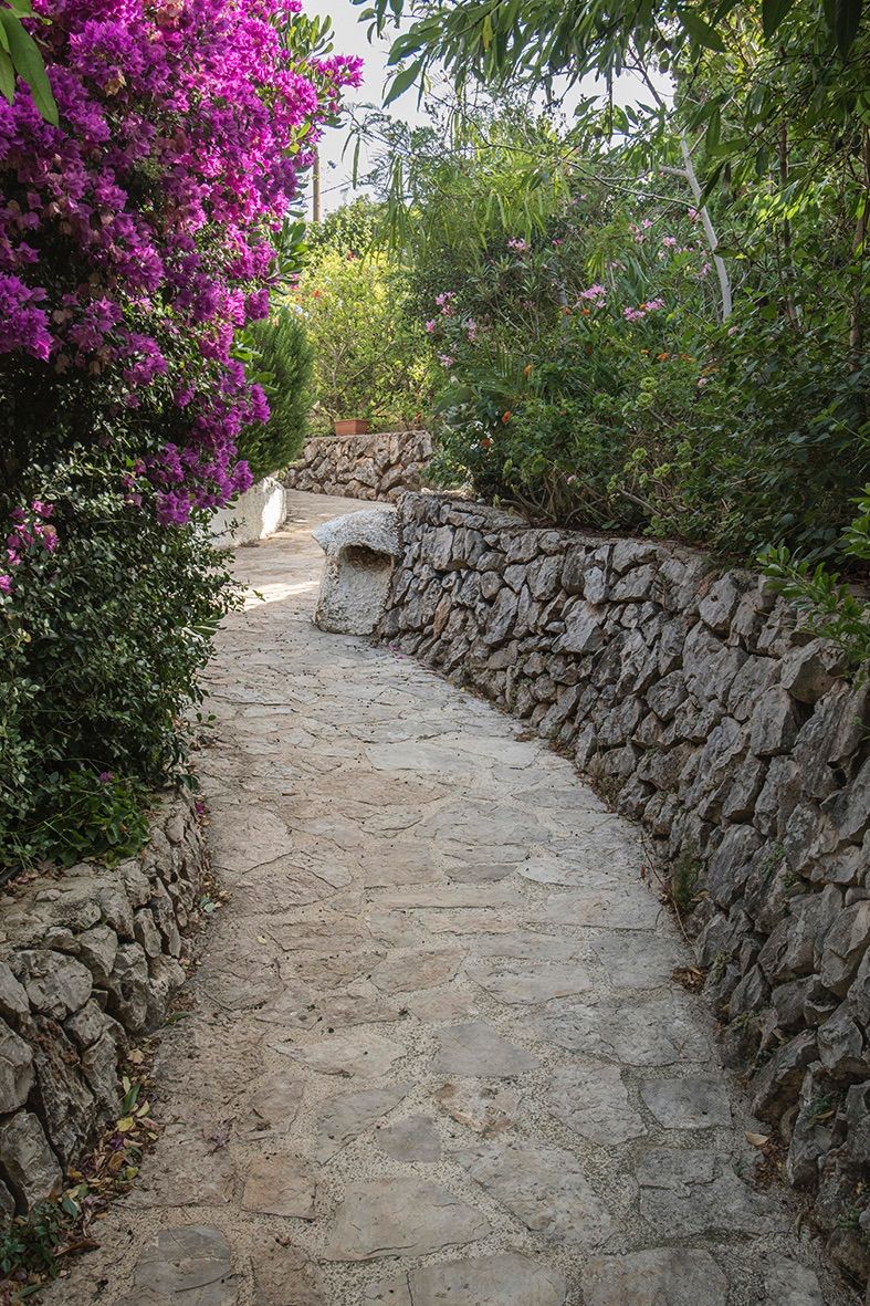 Sendero de piedra natural flanqueado por muros de mampostería seca y vegetación mediterránea, destacando una buganvilla en plena floración.