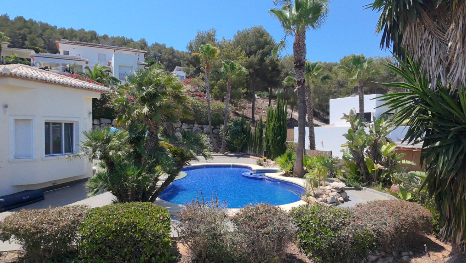 Piscina de forma orgánica con azulejos azules, rodeada de palmeras maduras y vegetación mediterránea bajo un cielo despejado en la urbanización Piver.
